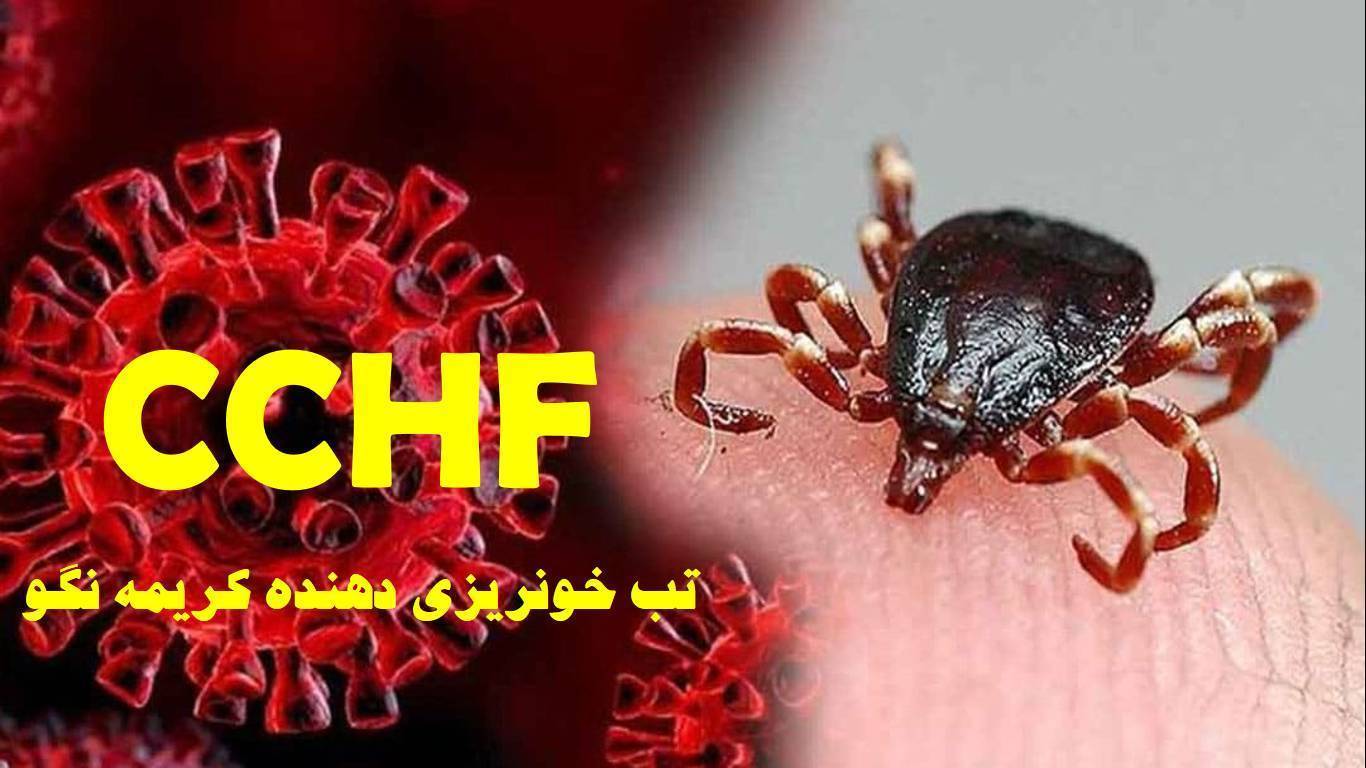 0afa386f 1f8c 40d0 b383 ed776cfc6d0f