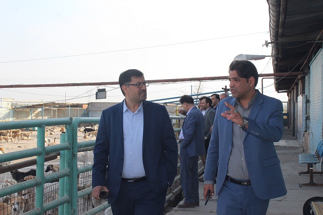 مرکز نگهداری حیوانات رها شده