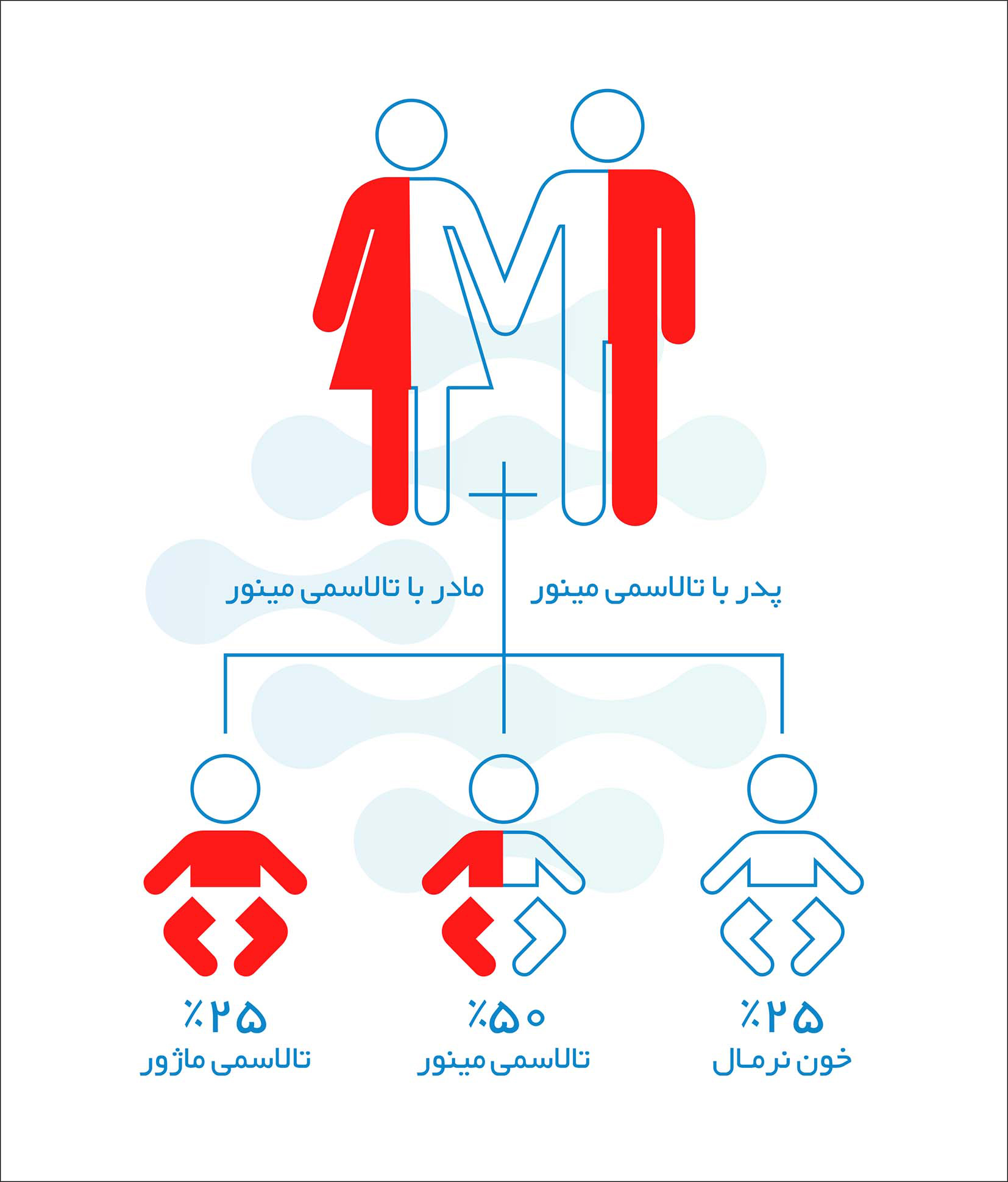 Thalasemia ColifeLabs