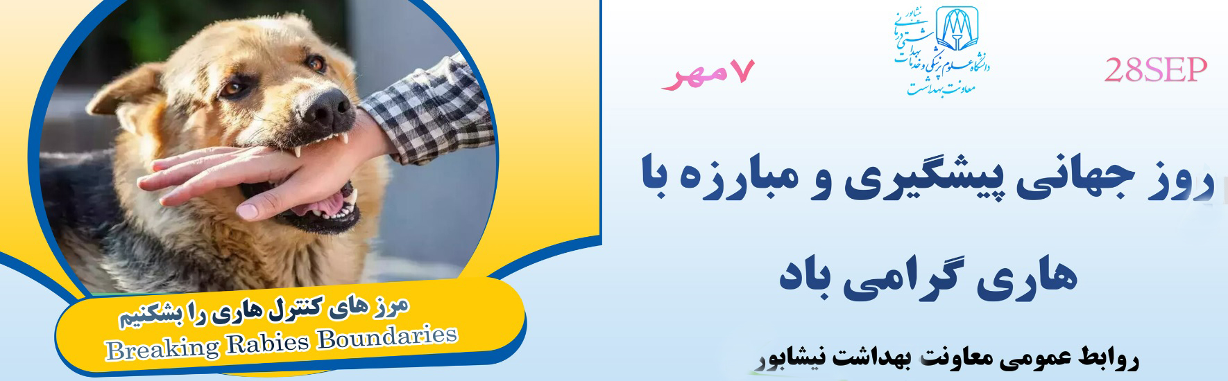 hary554